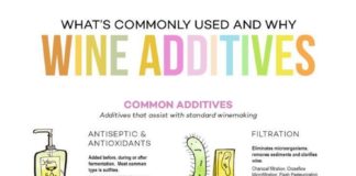 Food infographic – Wine Additives Explained