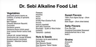 Food infographic – dr. sebi alkaline food list