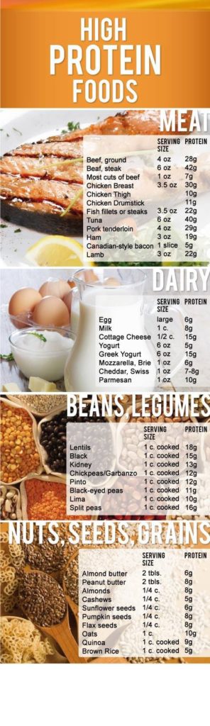 Food Infographic - Protein-sources - Infographicnow.com 