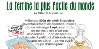 Food infographic – terrine-facile-: