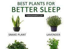 Health infographic : 10 Infographics That Will Help You Sleep Better Effortlessly