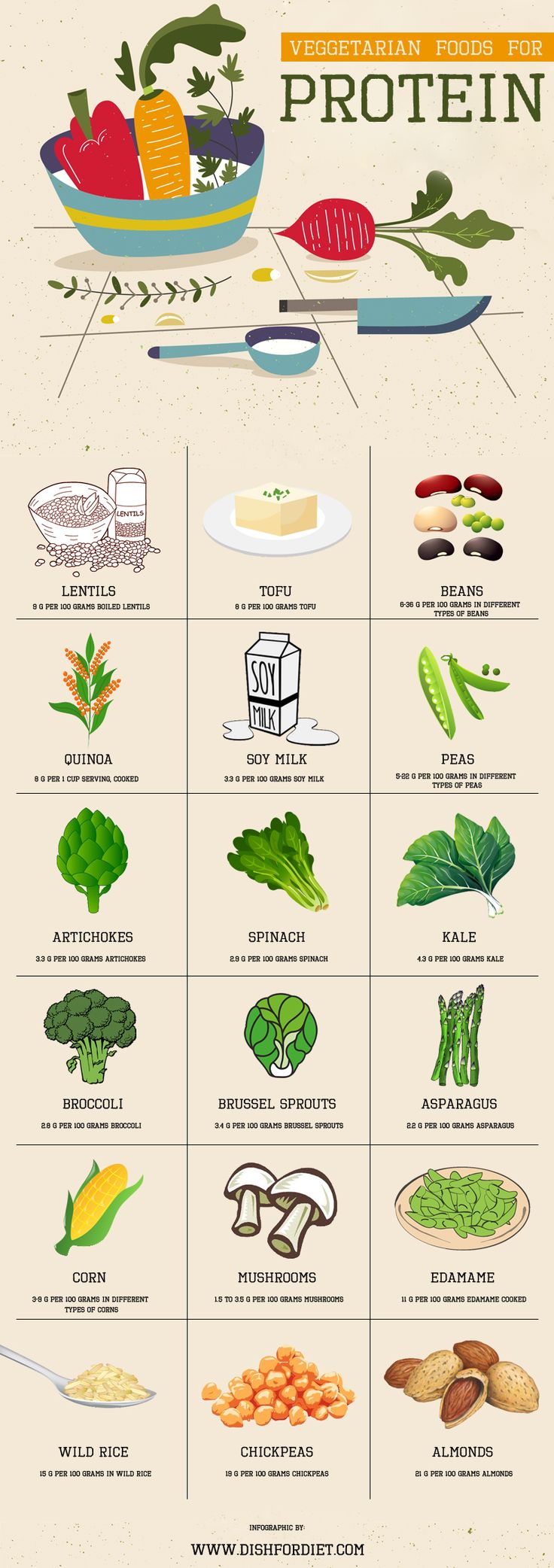 Health Infographic 11 Best Vegan Protein Powders And Shakes For Vegetarians Infographicnow