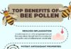 Health infographic : 11 Top Health Benefits of Bee Pollen & Precautions