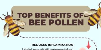Health infographic : 11 Top Health Benefits of Bee Pollen & Precautions