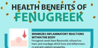 Health infographic : 12 Amazing Fenugreek Benefits, Nutrition & Precautions