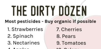 Health infographic : 15 Tips to Create an Eco-Friendly, Green Kitchen