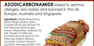 Health infographic : 30-Minute Recipes