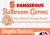 Health infographic : 5 Dangerous Bathroom Germs