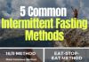 Health infographic : 5 Intermittent Fasting Methods