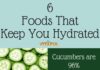 Health infographic : 6 Foods That Keep You Hydrated | Food Facts | Wellness Tips | Health Infographic…