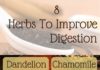 Health infographic : 8 Herbs To Improve Digestion (Infographic)