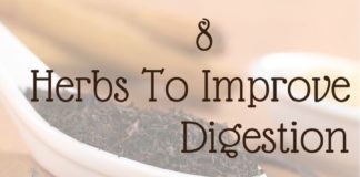 Health infographic : 8 Herbs To Improve Digestion (Infographic)