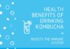Health infographic : 9 Impressive Health Benefits Of Drinking Kombucha Tea