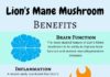 Health infographic : 9 Lion’s Mane Mushroom Health Benefits (A Helpful Guide for 2018/2019)