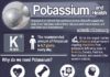 Health infographic : Amazing Facts About Potassium