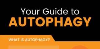 Health infographic : Benefits of Autophagy, Plus How to Induce It