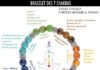 Health infographic : Bracelet d’harmonisation des 7 Chakras