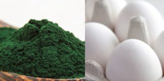 Health infographic : Can Tryptophan Really Improve Mood & Sleep?