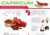 Health infographic : Capsicum Capsicum Supplements Capsicum Tablets Capsicum History Health Benefits …