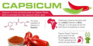 Health infographic : Capsicum Capsicum Supplements Capsicum Tablets Capsicum History Health Benefits …