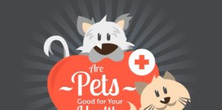 Health infographic : Companionship and love are just a few of the reasons people own pets. 62 % of Am…