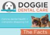 Health infographic : Doggie Dental Health