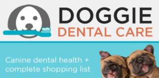 Health infographic : Doggie Dental Health
