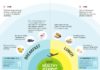 Health infographic : Eating Healthy in the Airport: An Infographic