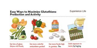 Health infographic : Glutathione: The Great Protector