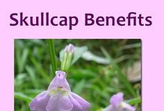 Health infographic : Health Infographics #dental #cheap #dental #service #materials