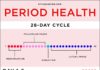 Health infographic : Health Advice for Every Phase of Your Menstrual Cycle – #Advice #Cycle #health #…