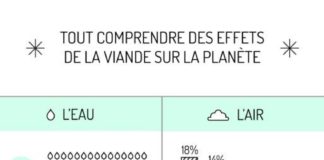 Health infographic : Idécologie -les effets de la viande sur la planète
