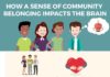 Health infographic : Infographic – How a Sense of Community Belonging Impacts the Brain