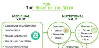 Health infographic : Infographic: Quinoa