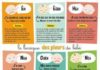 Health infographic : Infographie : Pourquoi bébé pleure