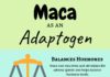 Health infographic : Is Maca an Adaptogen?