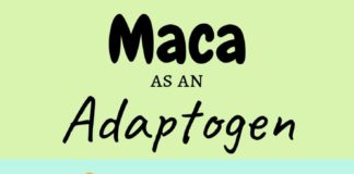 Health infographic : Is Maca an Adaptogen?