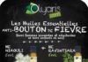Health infographic : Les Huiles Essentielles contre les Boutons de Fièvre : la solution naturelle pa…