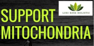 Health infographic : Low on Energy? Fix Your Mitochondria to Fix Your Health