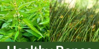 Health infographic : May 18 Healthy Bones Tea Recipe: High Nutrition and Minerals for Your Bones’ Health