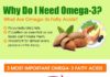 Health infographic : Omega-3 Fatty Acids That Are Most Important – Infographic