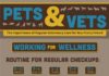 Health infographic : Pets and Vets: The Importance of Regular Veterinary Care for Your Furry Friend