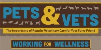 Health infographic : Pets and Vets: The Importance of Regular Veterinary Care for Your Furry Friend