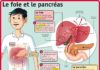 Health infographic : PlayBac Presse