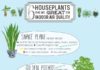 Health infographic : Pollution is not only an outdoor problem, the insides of your house can also be …