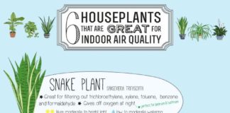 Health infographic : Pollution is not only an outdoor problem, the insides of your house can also be …