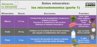Health infographic : Sales minerales (macroelementos y microelementos)