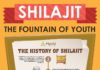 Health infographic : Shilajit Health Benefits Infographic