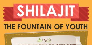 Health infographic : Shilajit Health Benefits Infographic
