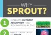 Health infographic : Sprout Guide: How to Sprout Grains, Nuts and Beans